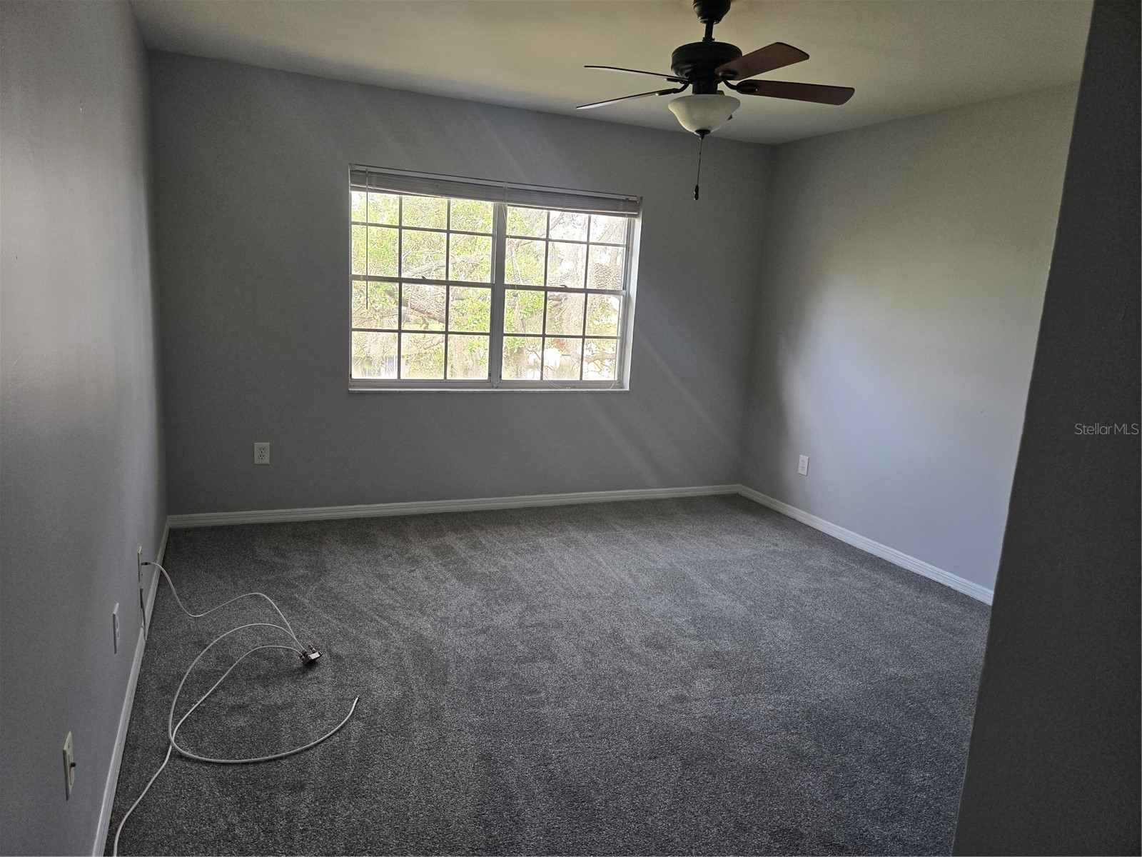 10342 Carrollwood Lane #168 Tampa FL 33618 TB8492115 image9