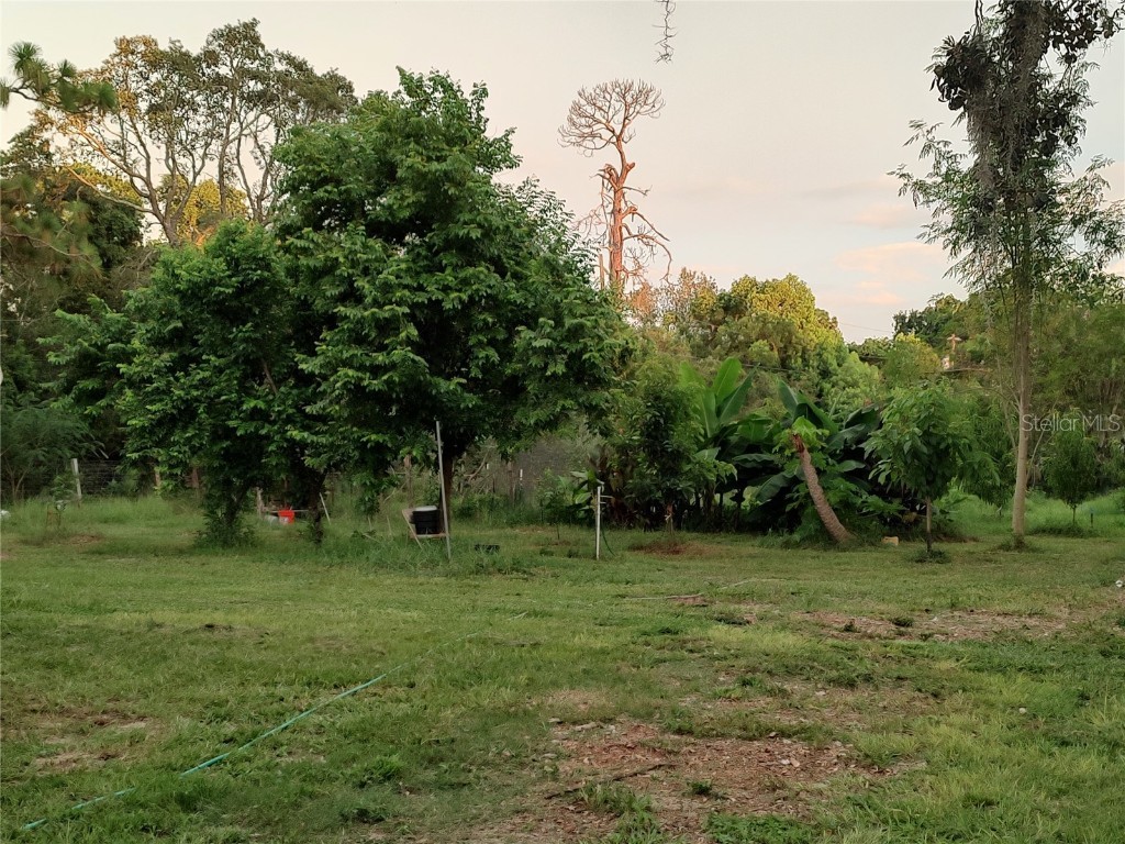 10342 Shady Drive Hudson FL 34669 TB8446117 image31