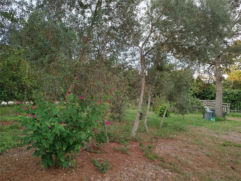 10342 Shady Drive Hudson FL 34669 TB8446117 image35