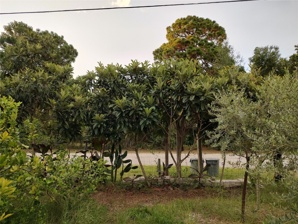 10342 Shady Drive Hudson FL 34669 TB8446117 image38