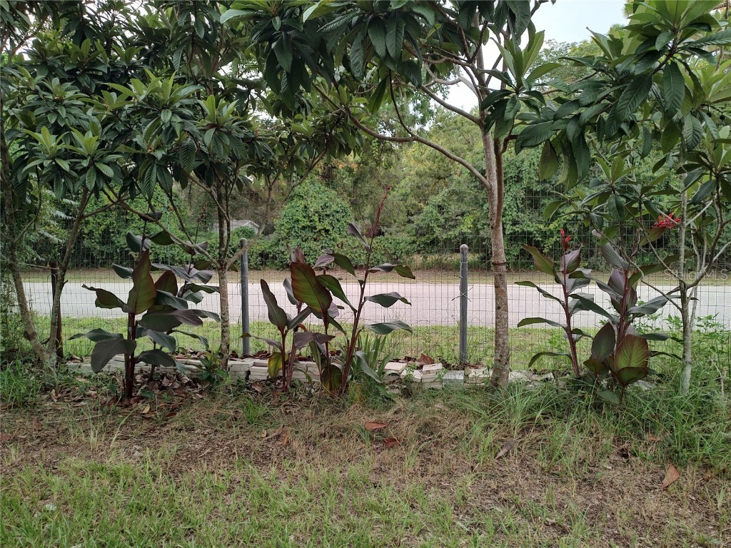 10342 Shady Drive Hudson FL 34669 TB8446117 image40