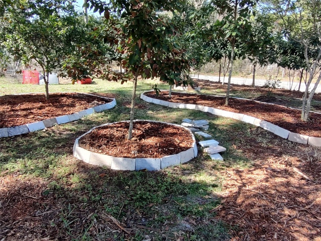 10342 Shady Drive Hudson FL 34669 TB8446117 image47