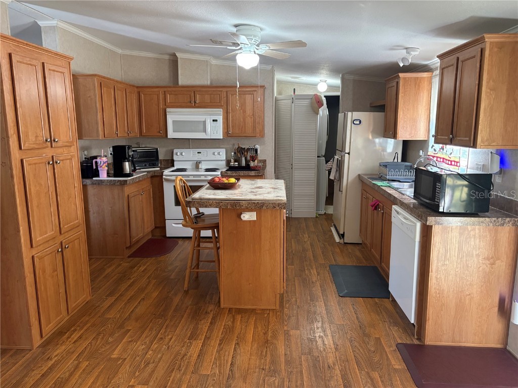 10342 Shady Drive Hudson FL 34669 TB8446117 image5