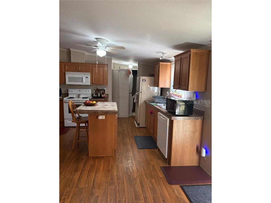 10342 Shady Drive Hudson FL 34669 TB8446117 image6