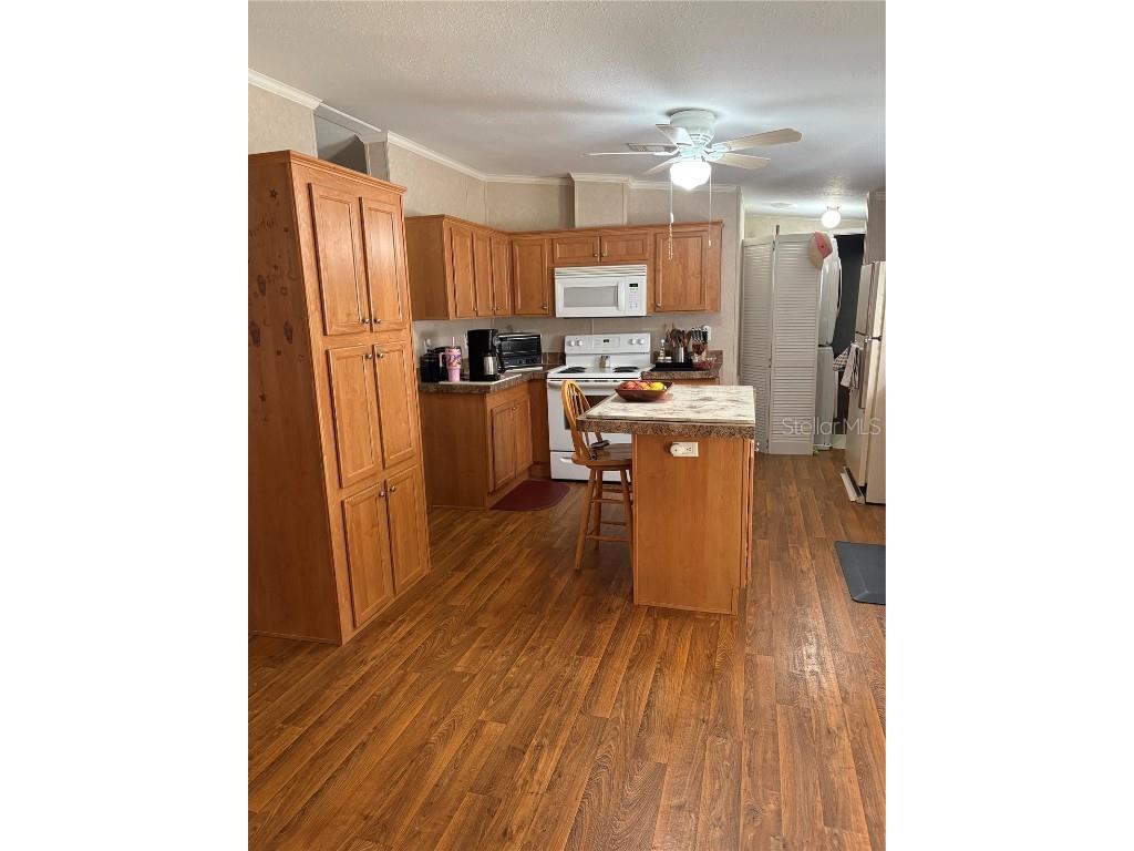 10342 Shady Drive Hudson FL 34669 TB8446117 image7