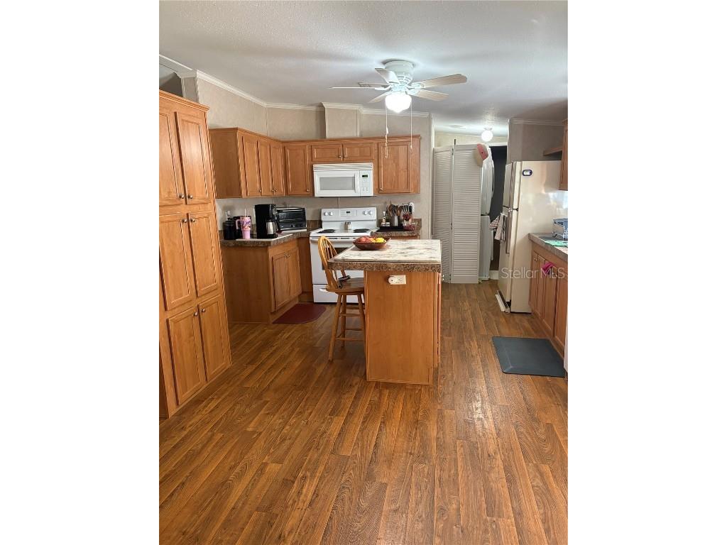 10342 Shady Drive Hudson FL 34669 TB8446117 image8