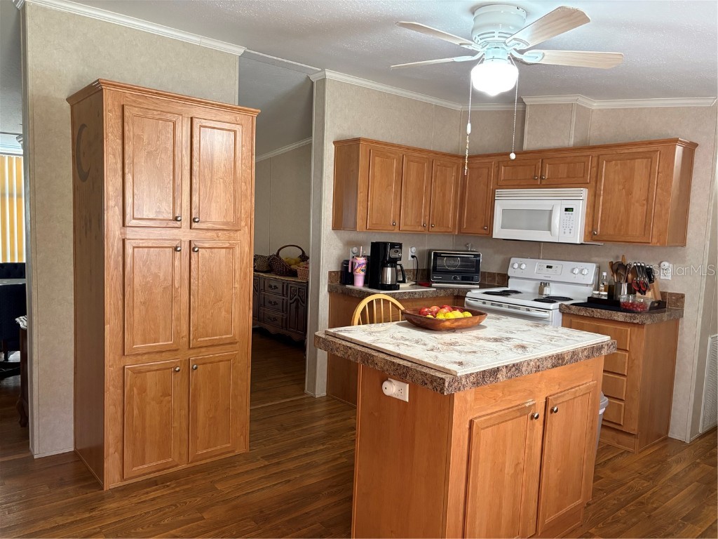 10342 Shady Drive Hudson FL 34669 TB8446117 image9