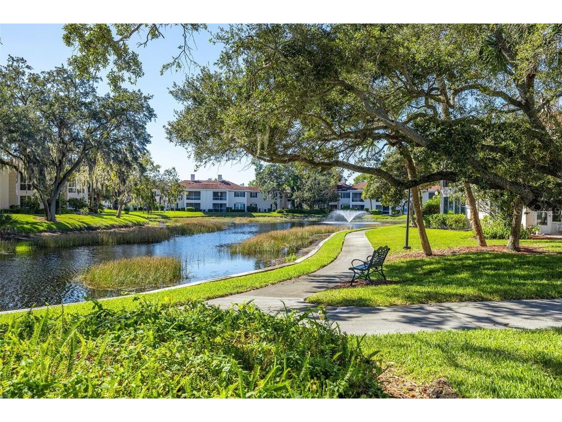 10344 Carrollwood Lane #173 Tampa FL 33618 T3480562 image1