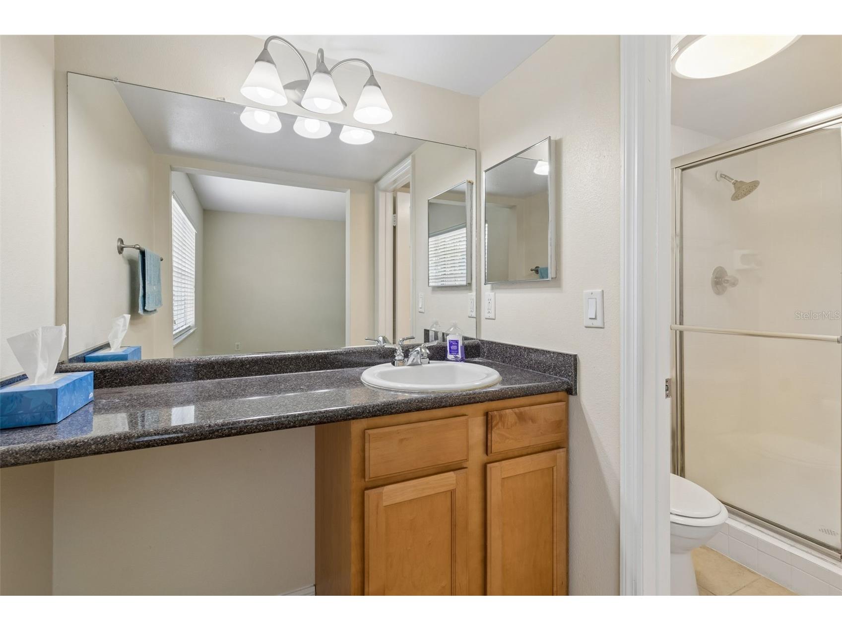 10344 Carrollwood Lane #176 Tampa FL 33618 TB8513713 image28