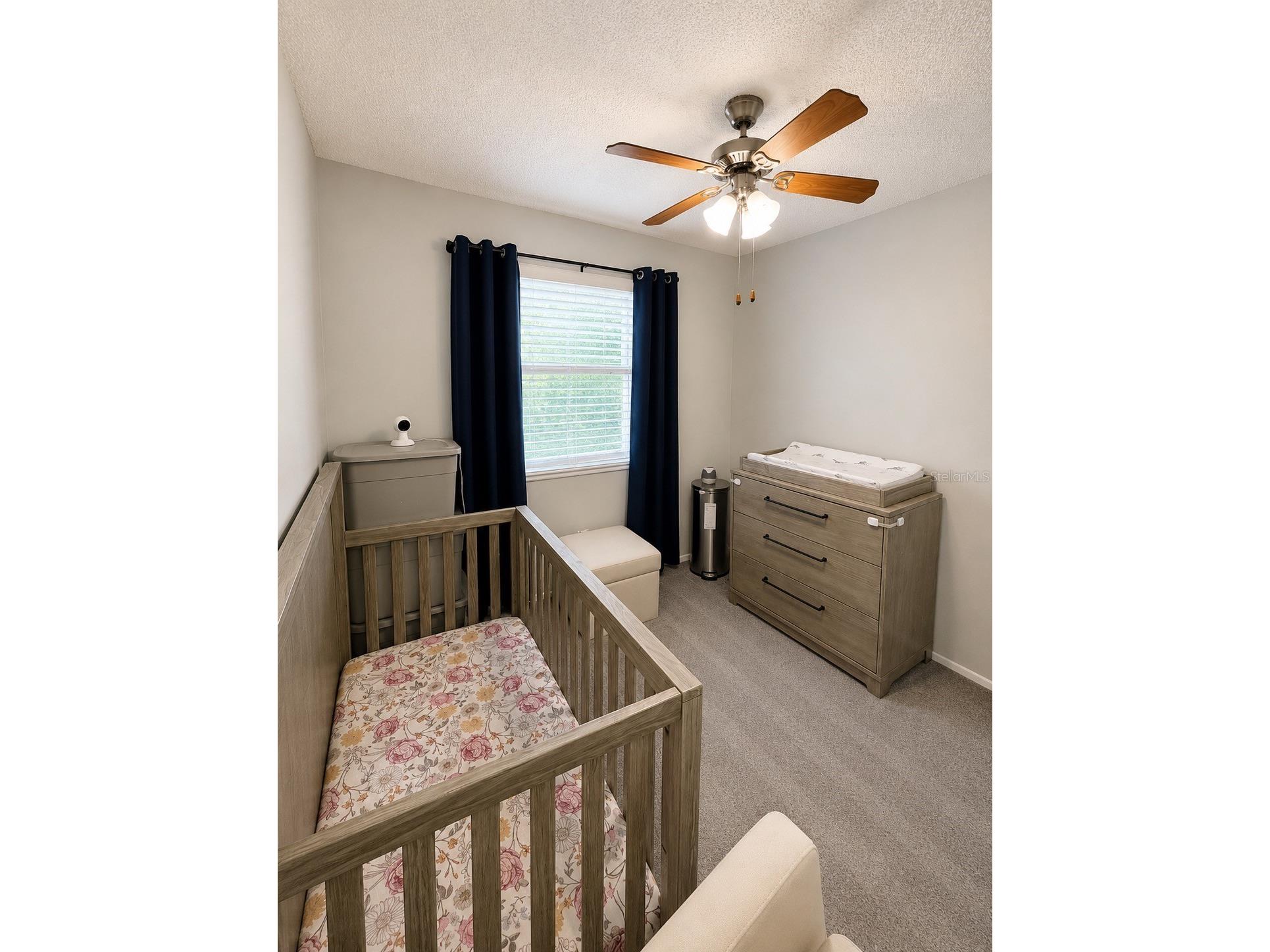 10344 Councils Way Tampa FL 33617 TB8520648 image19
