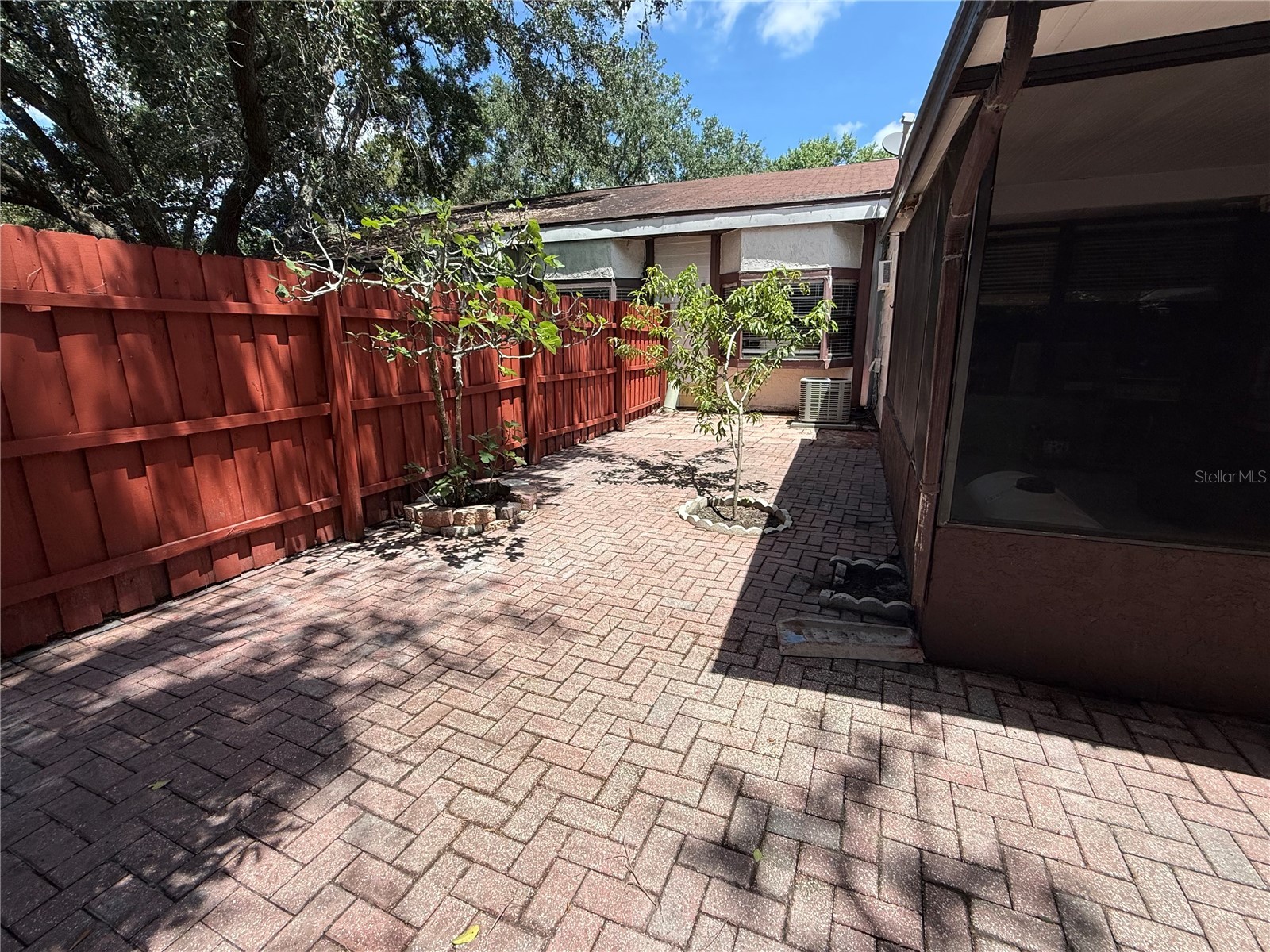 10344 Councils Way Tampa FL 33617 TB8520648 image27