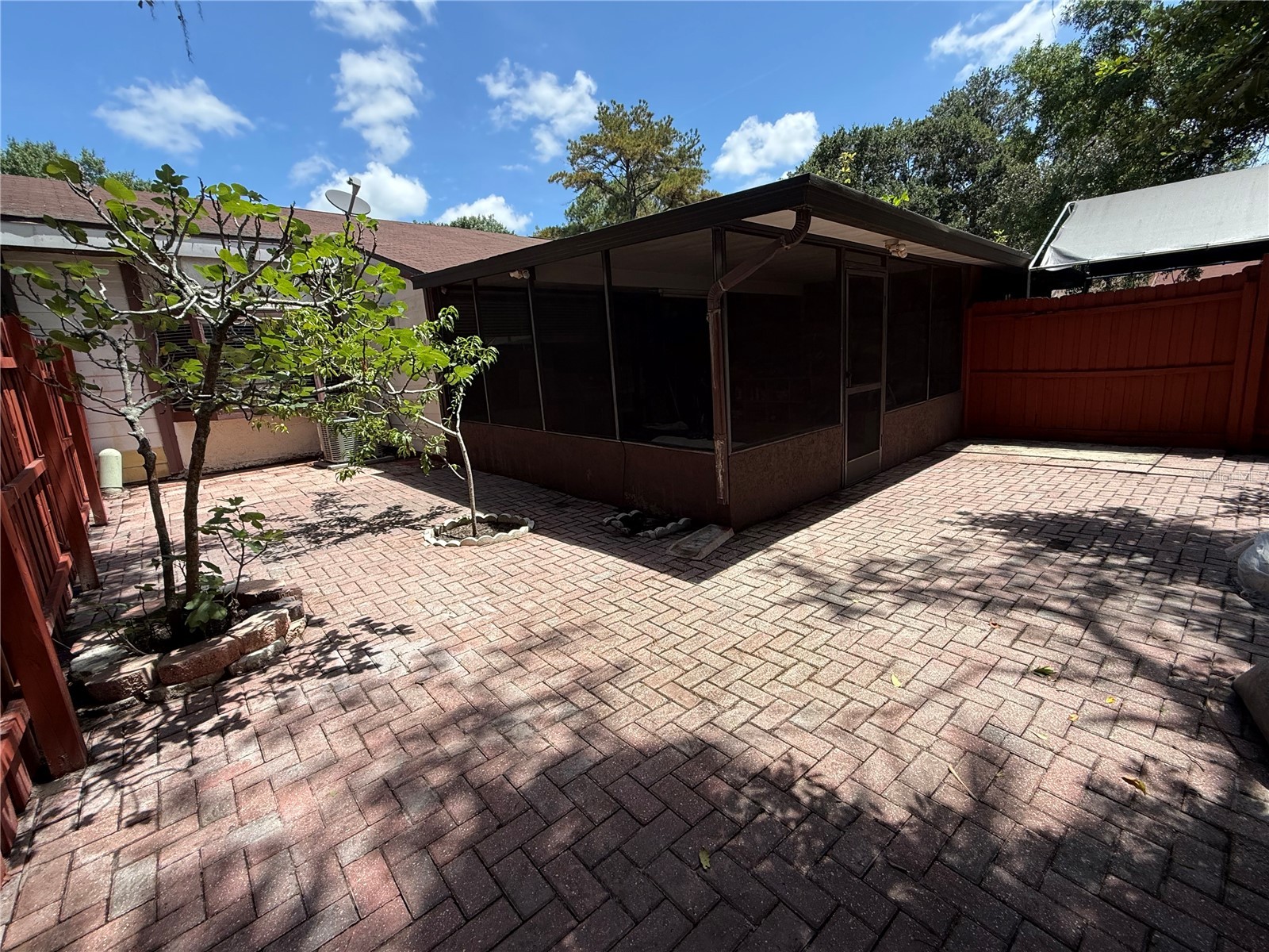 10344 Councils Way Tampa FL 33617 TB8520648 image28