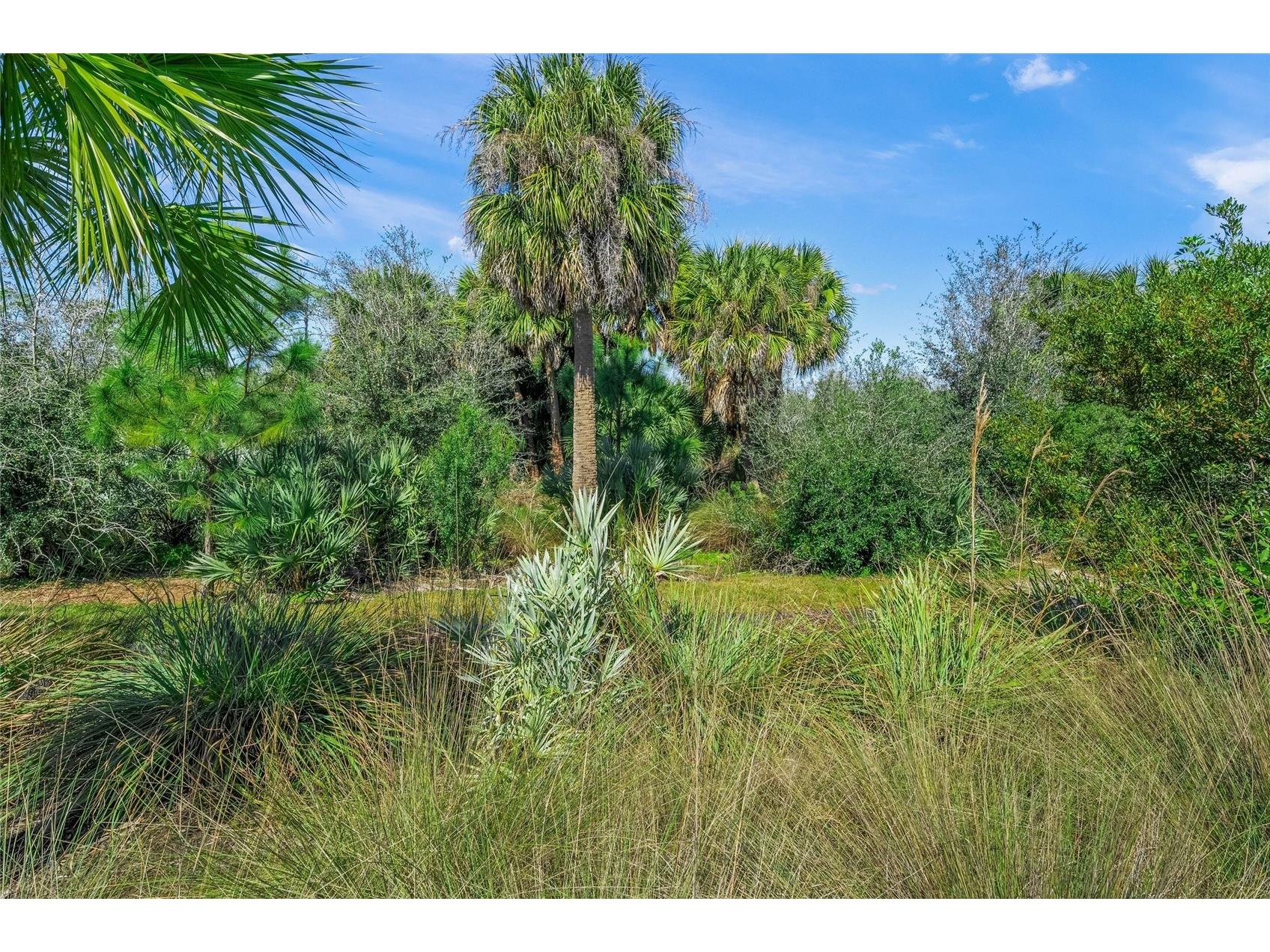 10345 Canaveral Circle Sarasota FL 34241 A4684154 image44