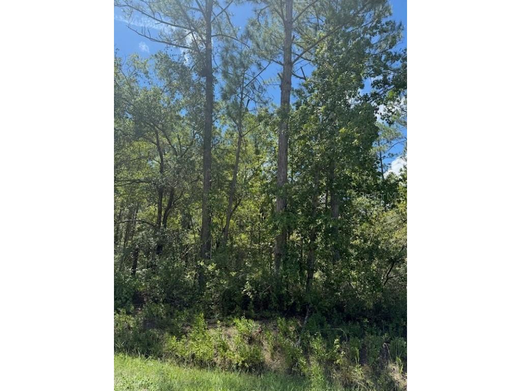 10345 Gregory Avenue Hastings FL 32145 FC312465 image1