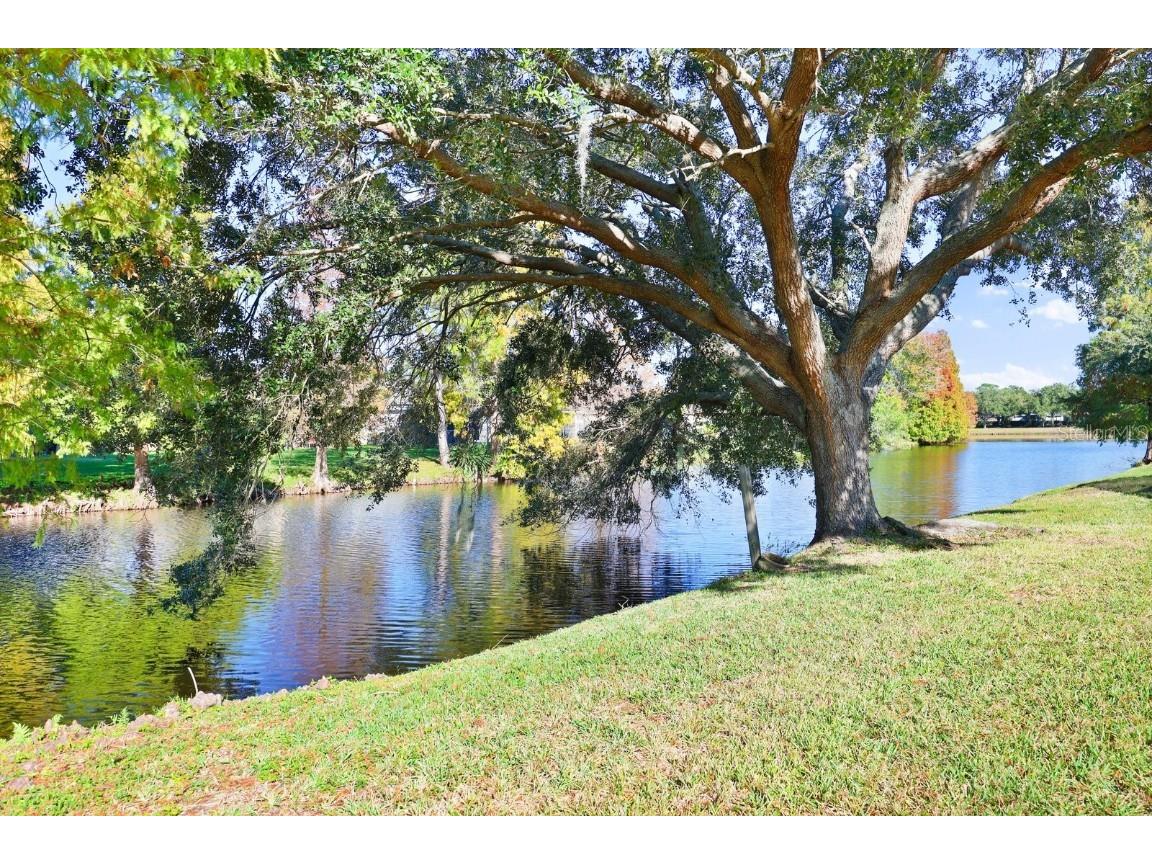 10345 Lightner Bridge Drive Tampa FL 33626 TB8457459 image36