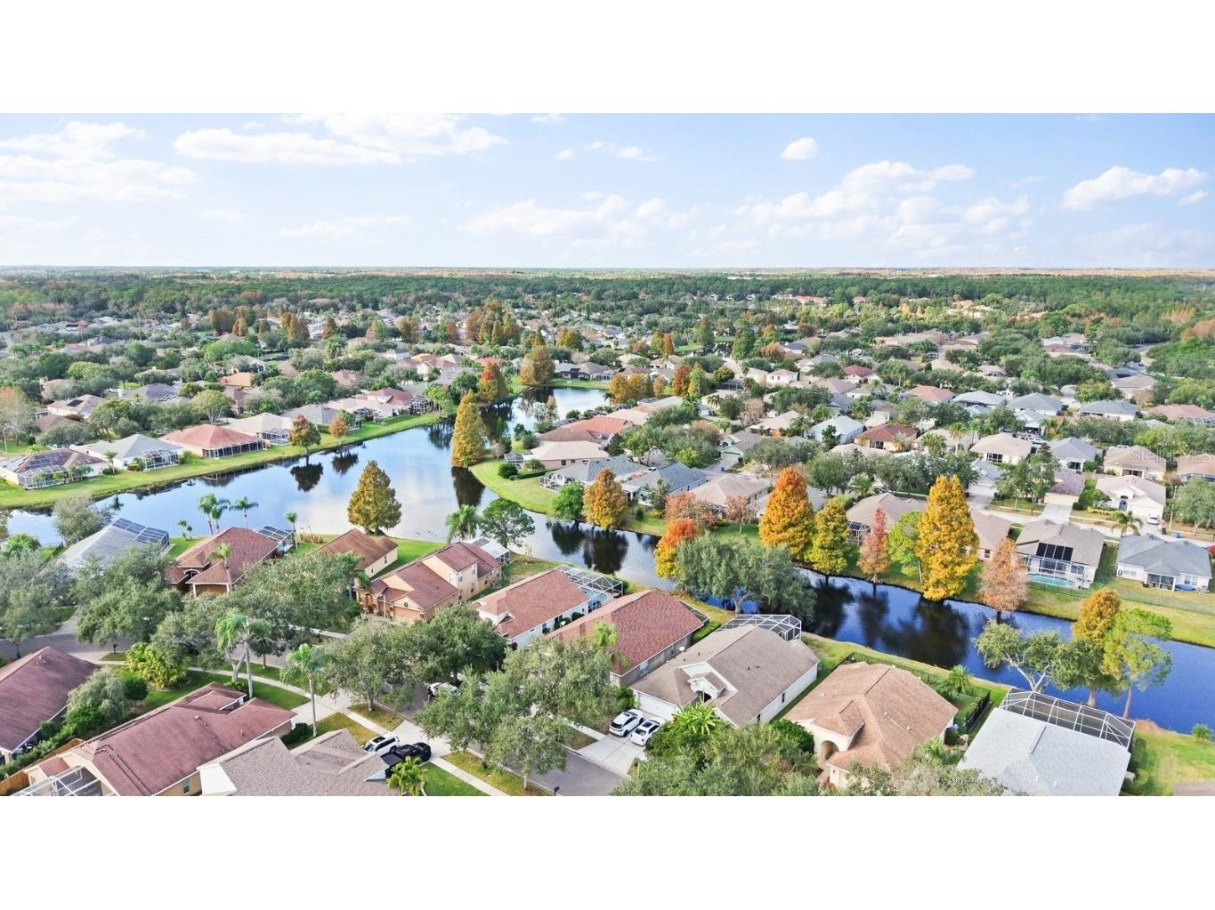 10345 Lightner Bridge Drive Tampa FL 33626 TB8457459 image39