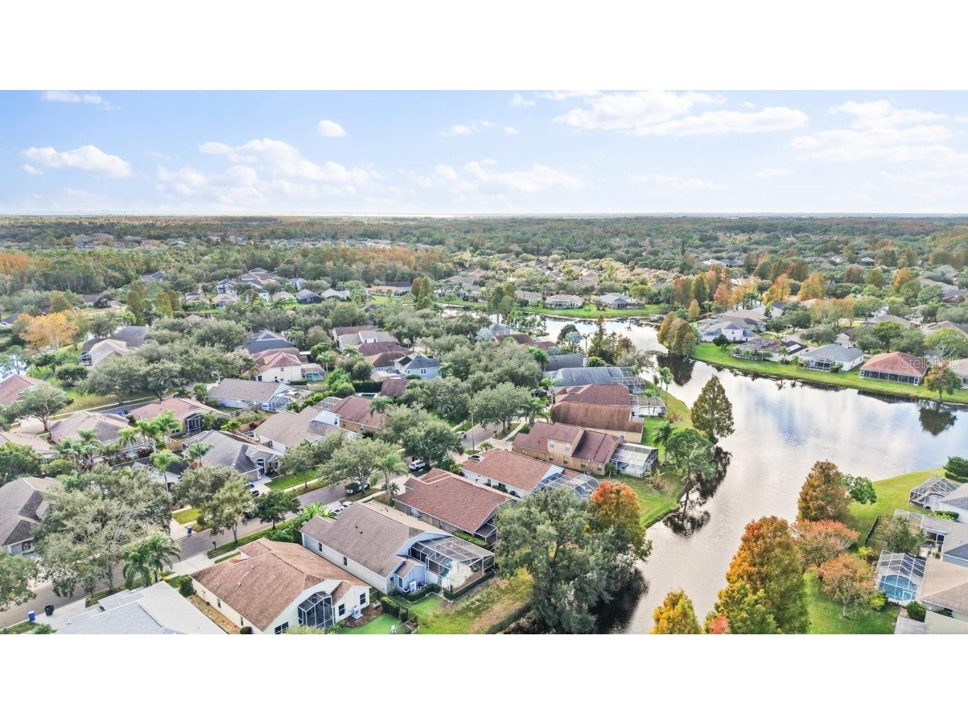 10345 Lightner Bridge Drive Tampa FL 33626 TB8457459 image40