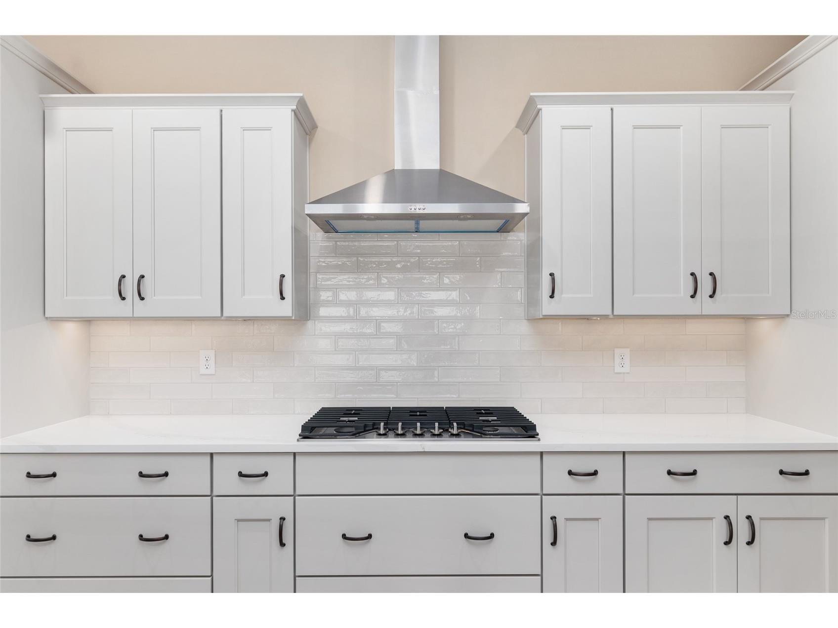 10345 SW 82nd Place Road Ocala FL 34481 OM722123 image26