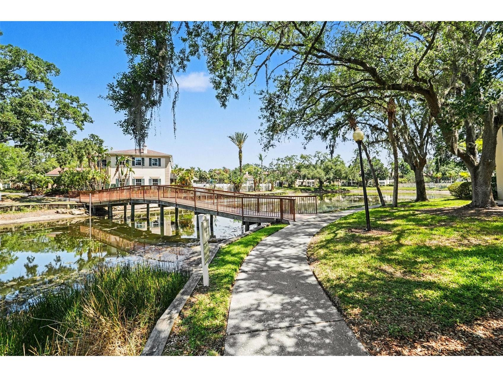 10346 Carrollwood Lane #178 Tampa FL 33618 TB8500943 image25