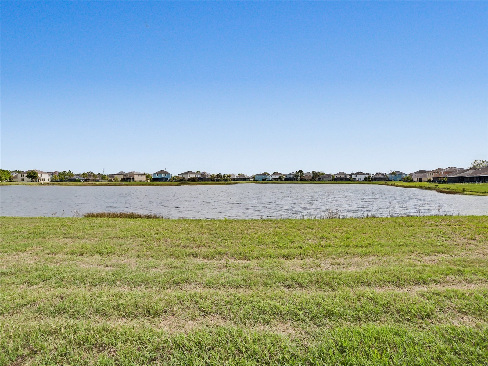 10346 Celtic Ash Drive Ruskin FL 33573 TB8492977 image20