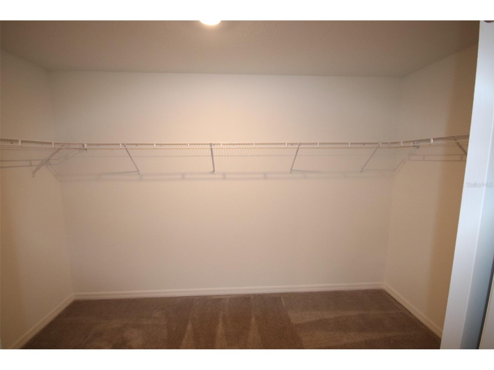 10347 Alder Green Drive Riverview FL 33578 TB8525689 image16