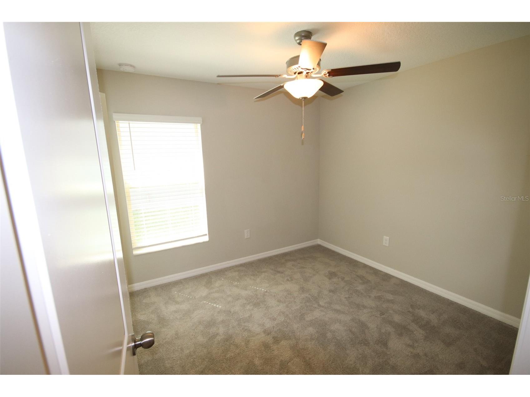 10347 Alder Green Drive Riverview FL 33578 TB8525689 image19