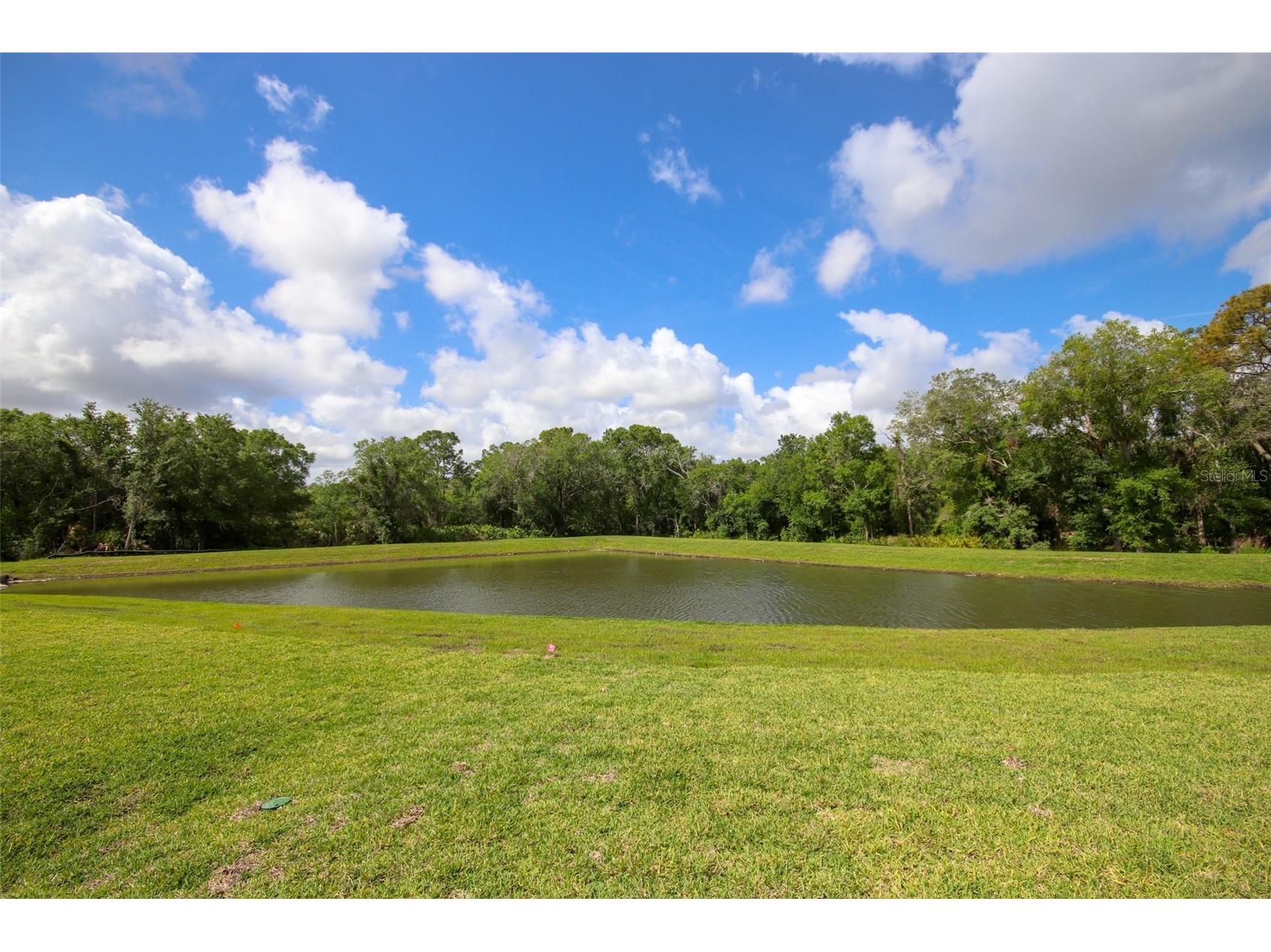 10347 Alder Green Drive Riverview FL 33578 TB8525689 image2