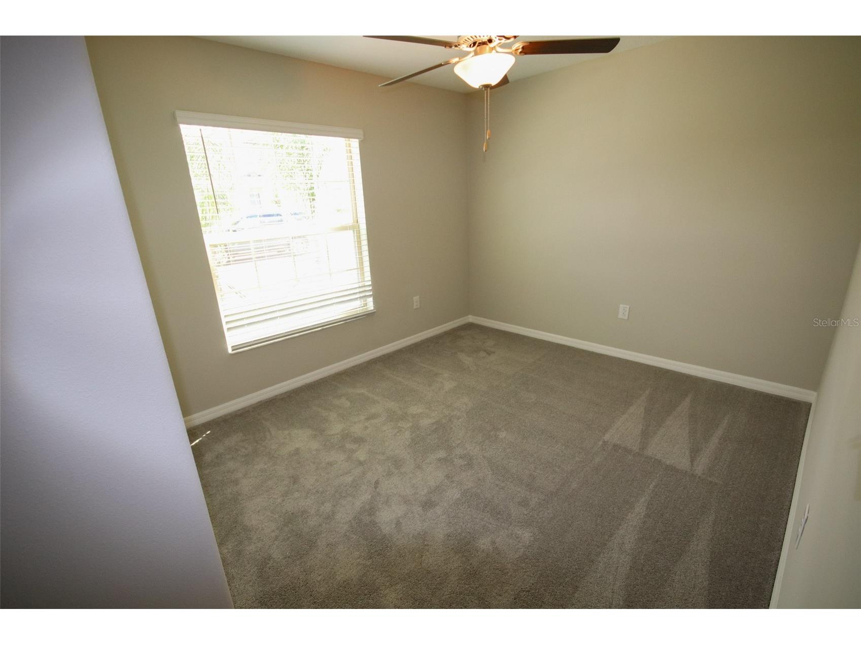 10347 Alder Green Drive Riverview FL 33578 TB8525689 image22