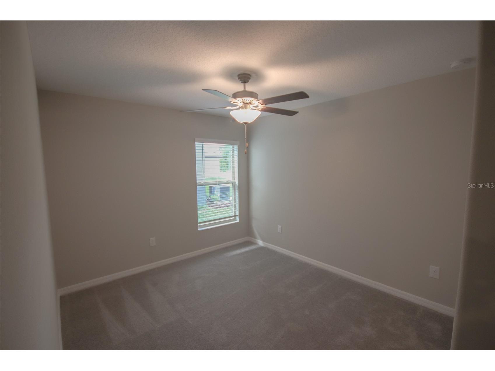 10347 Alder Green Drive Riverview FL 33578 TB8525689 image23