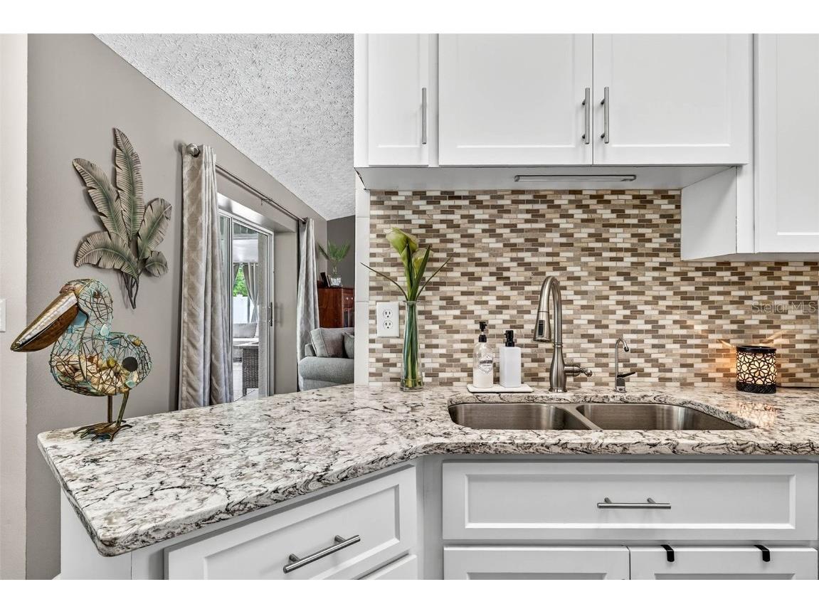 10348 Ventura Drive Spring Hill FL 34608 TB8434031 image21