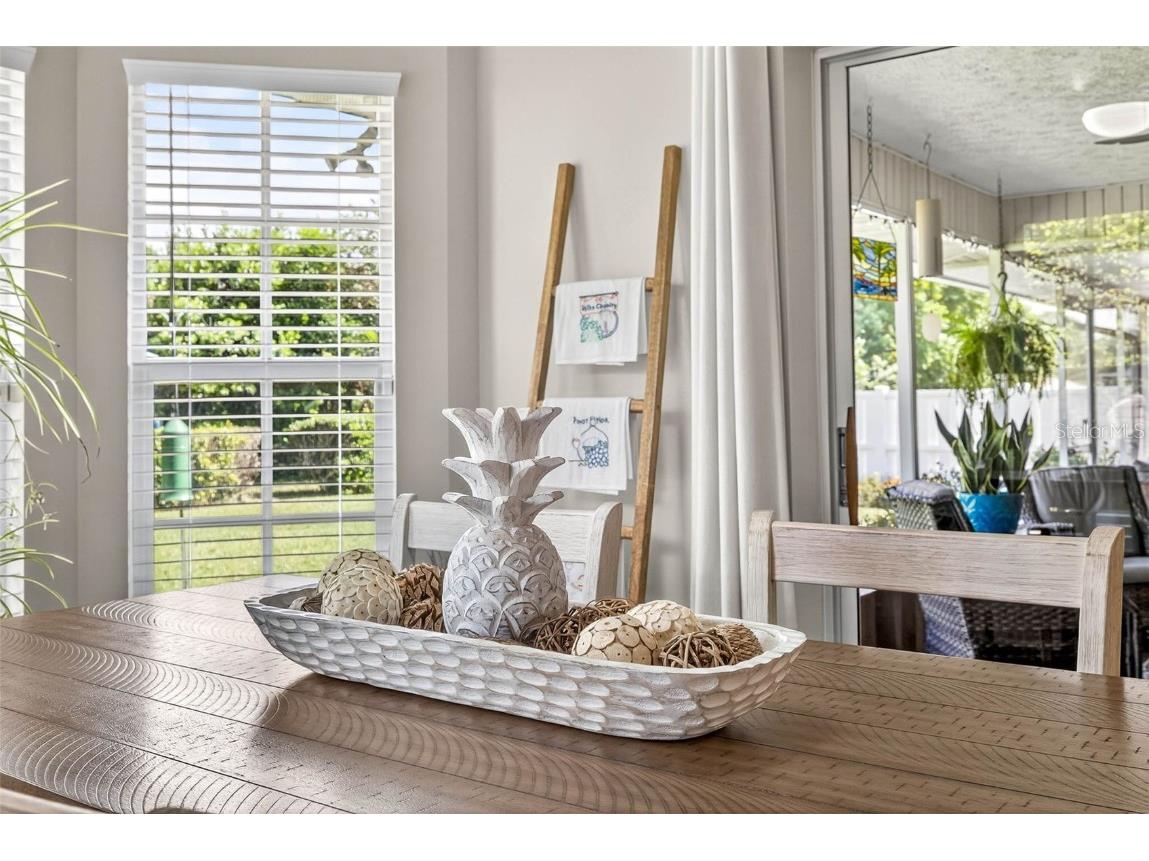 10348 Ventura Drive Spring Hill FL 34608 TB8434031 image26