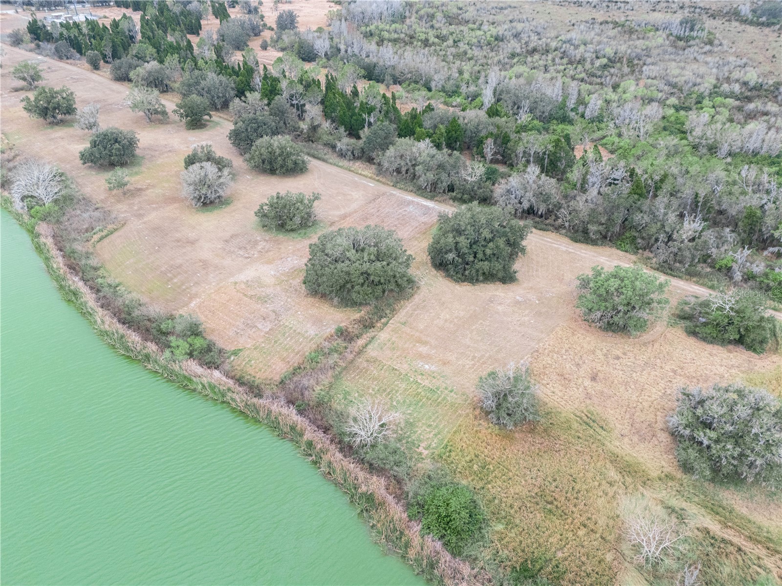 10349 County Road 555 Fort Meade FL 33841 L4959142 image10