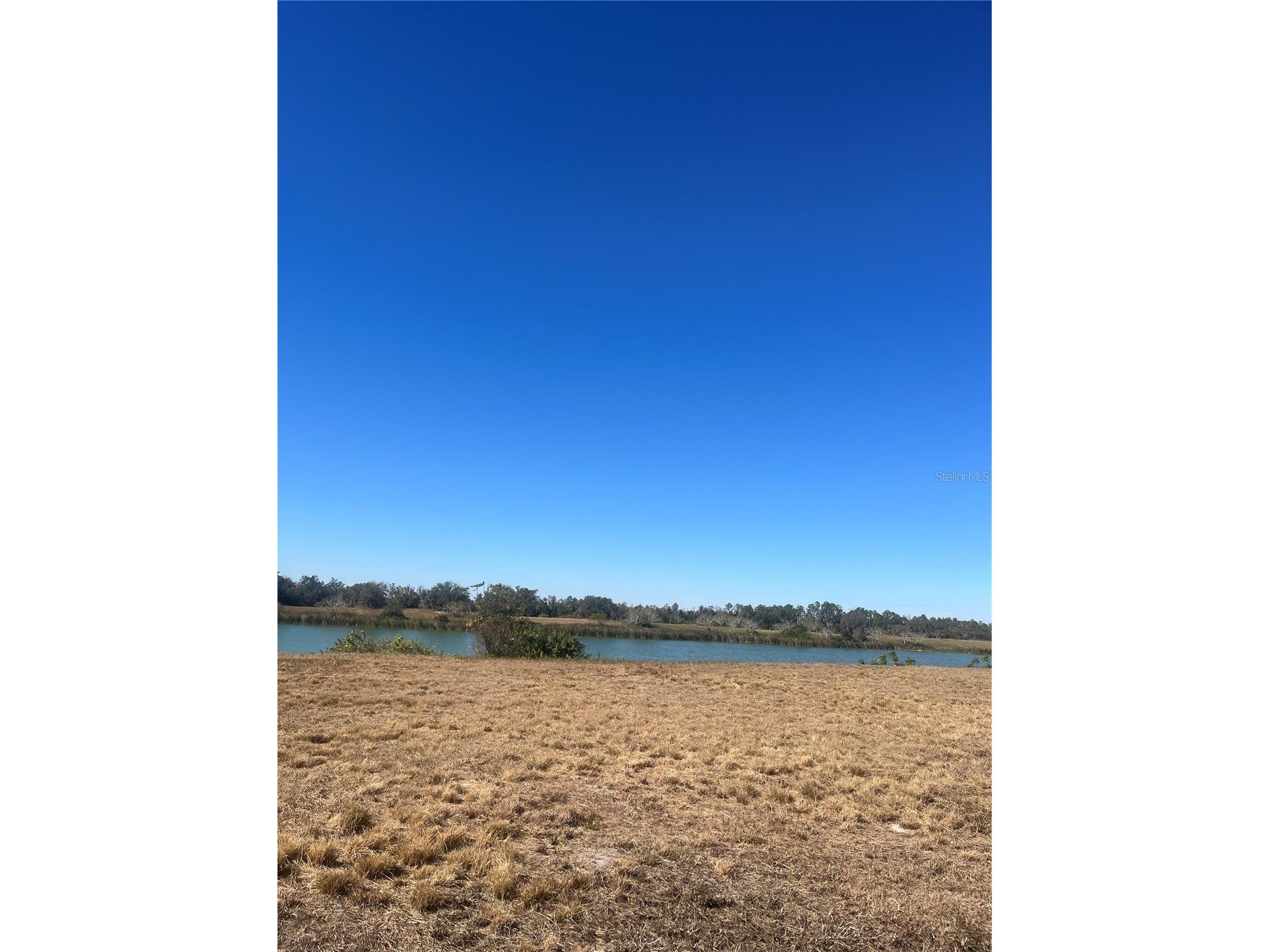 10349 County Road 555 Fort Meade FL 33841 L4959142 image2