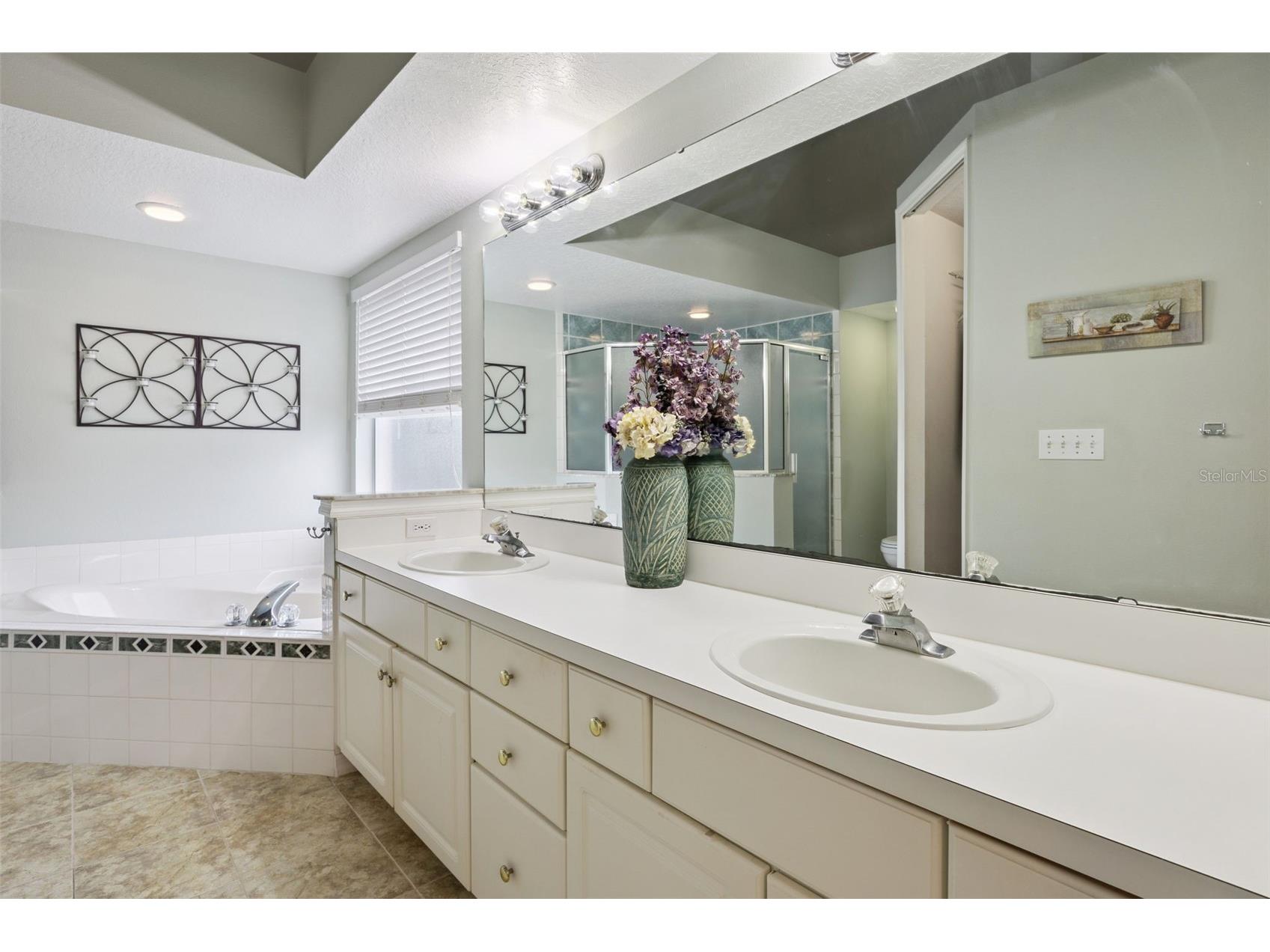 1035 Chase Drive Winter Garden FL 34787 O6396474 image12