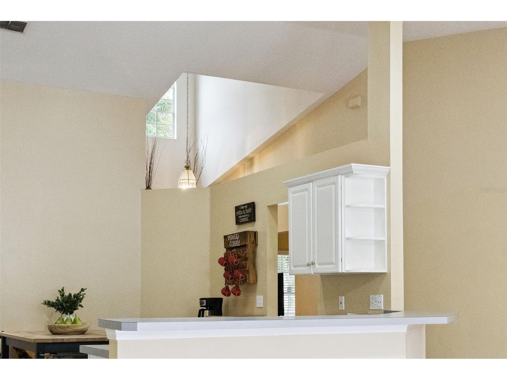 1035 Chase Drive Winter Garden FL 34787 O6396474 image24