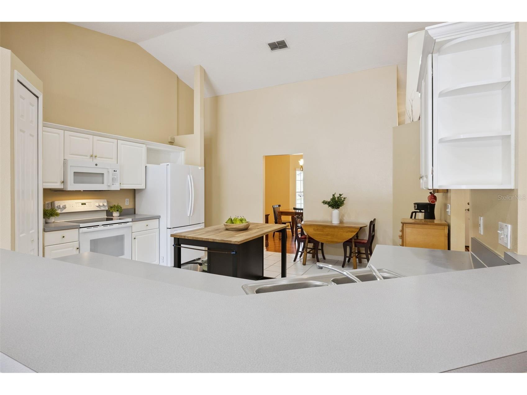 1035 Chase Drive Winter Garden FL 34787 O6396474 image26