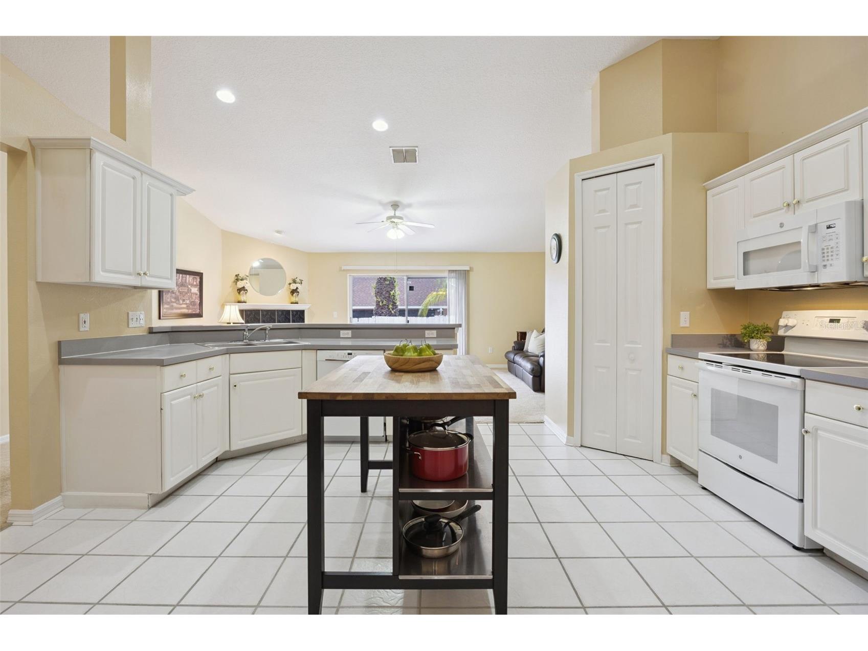 1035 Chase Drive Winter Garden FL 34787 O6396474 image8