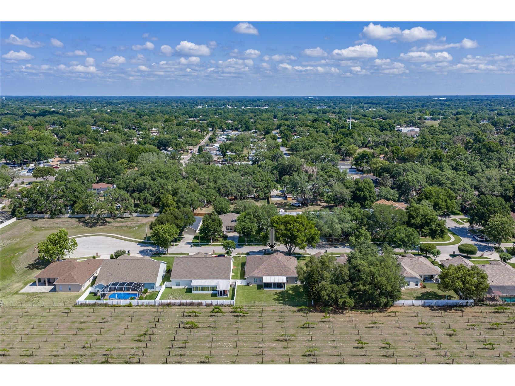 1035 Legends Pass Drive Valrico FL 33594 TB8503186 image3