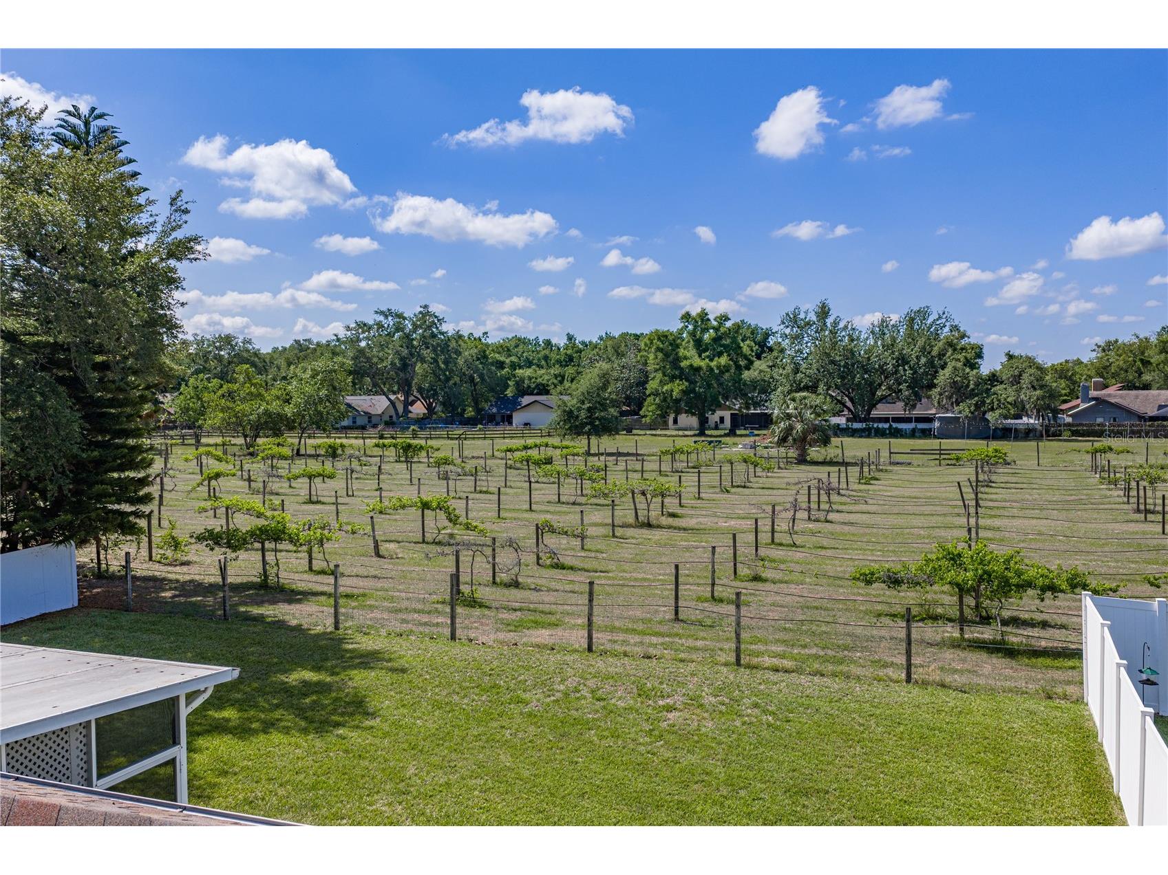 1035 Legends Pass Drive Valrico FL 33594 TB8503186 image56