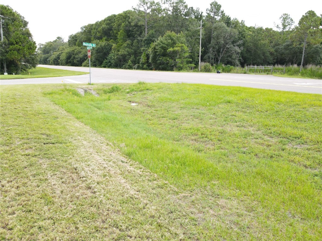 1035 Nashville Drive Wesley Chapel FL 33544 T3381944 image20