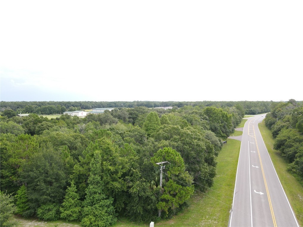 1035 Nashville Drive Wesley Chapel FL 33544 T3381944 image5