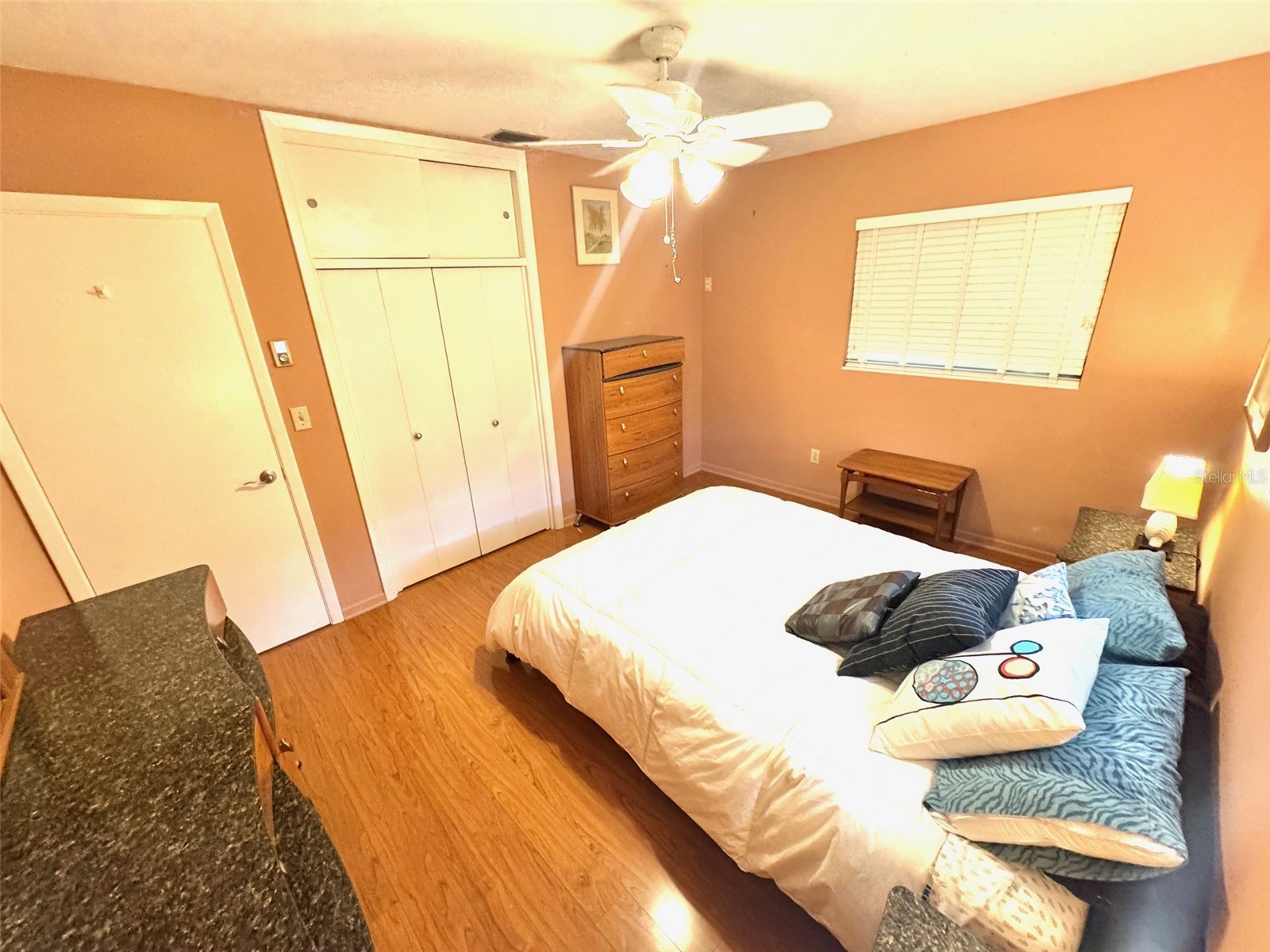 1035 Robmar Road Dunedin FL 34698 TB8498023 image16