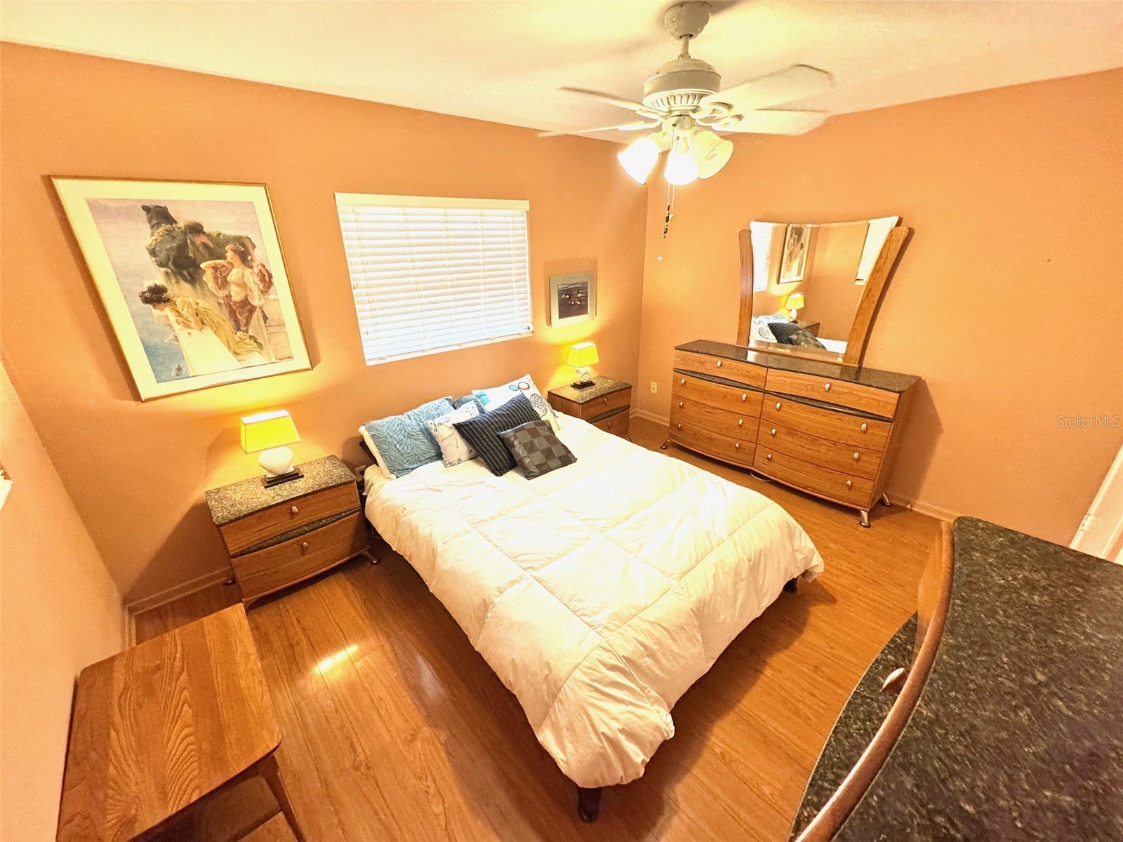 1035 Robmar Road Dunedin FL 34698 TB8498023 image17