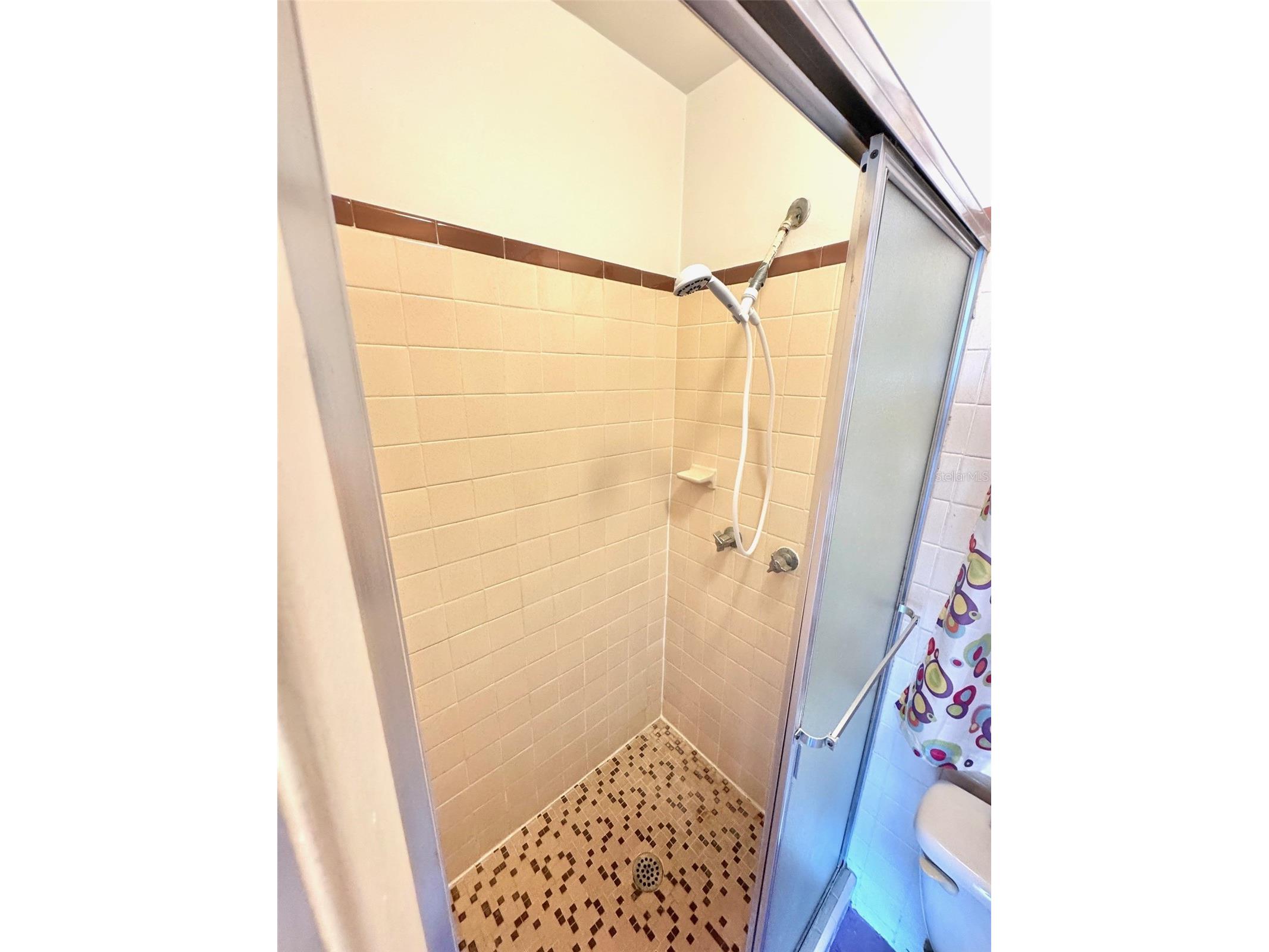 1035 Robmar Road Dunedin FL 34698 TB8498023 image26