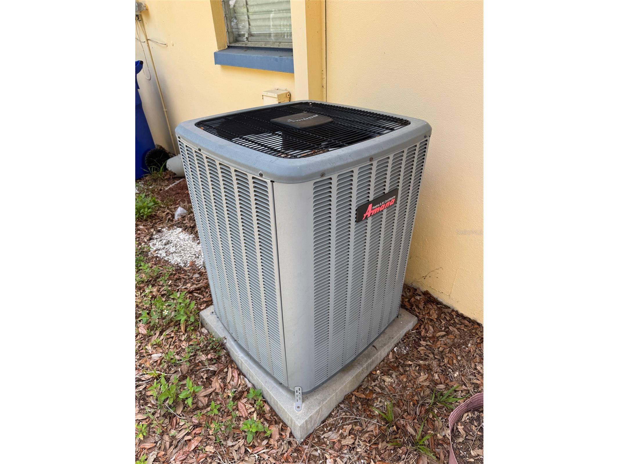 1035 Robmar Road Dunedin FL 34698 TB8498023 image31