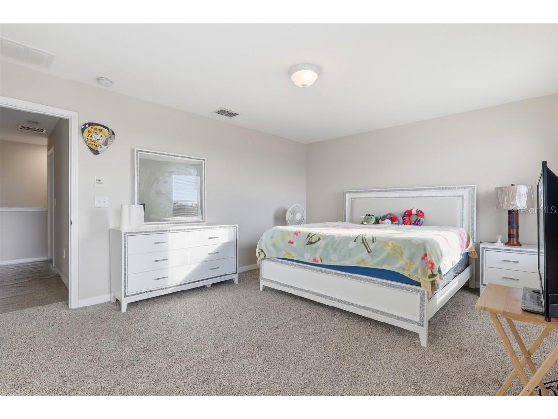 1035 Seminole Sky Drive Ruskin FL 33570 TB8443961 image16