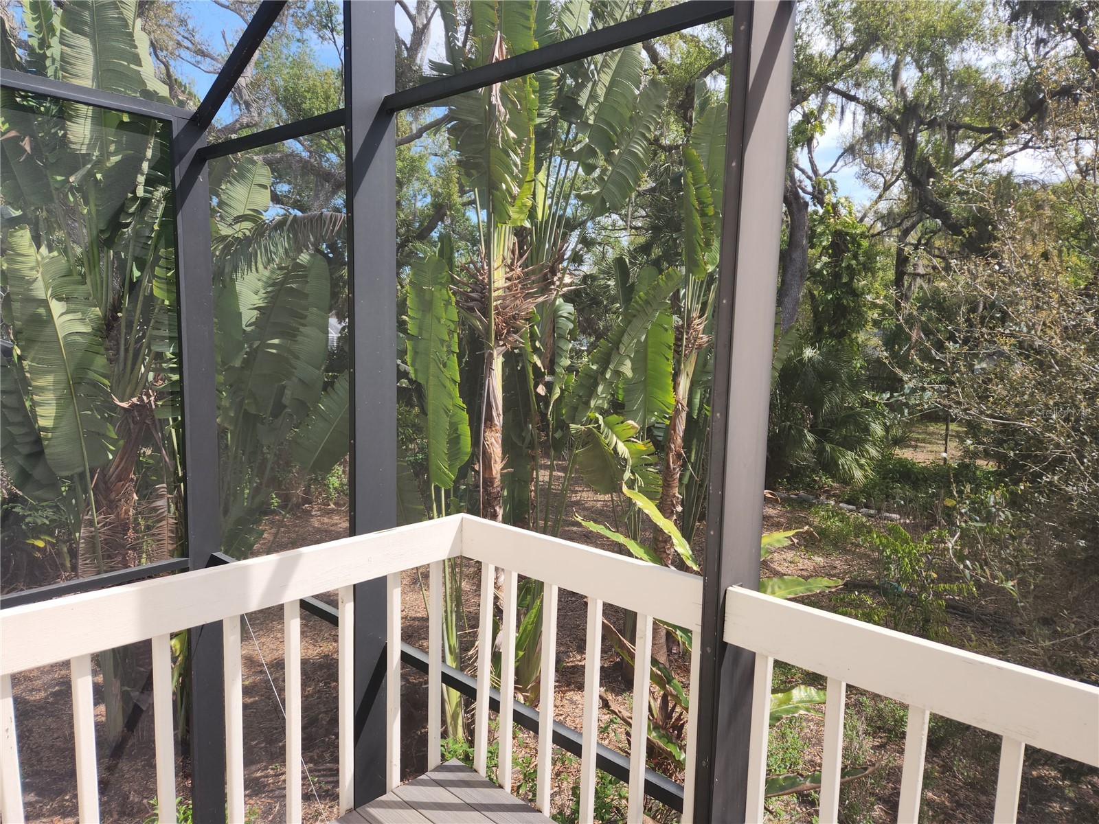 1035 Sirus Trail Sarasota FL 34232 A4680284 image36