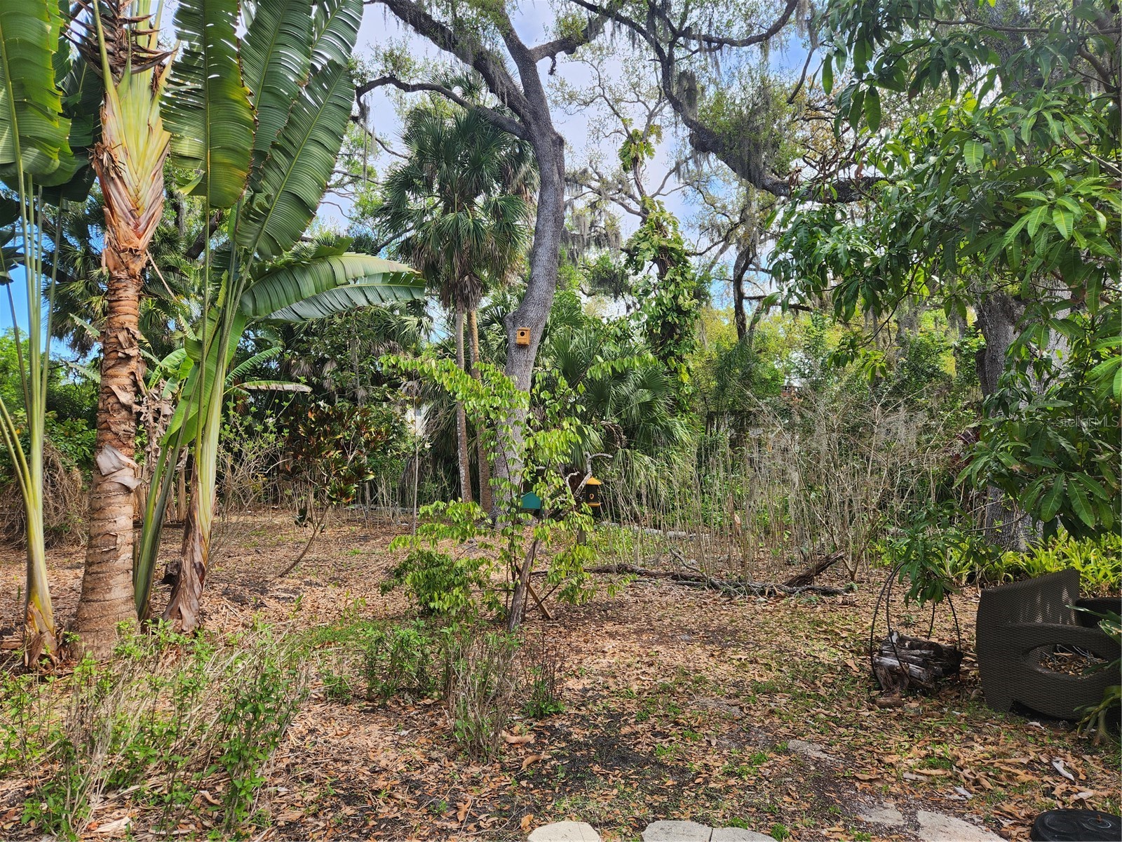 1035 Sirus Trail Sarasota FL 34232 A4680284 image40