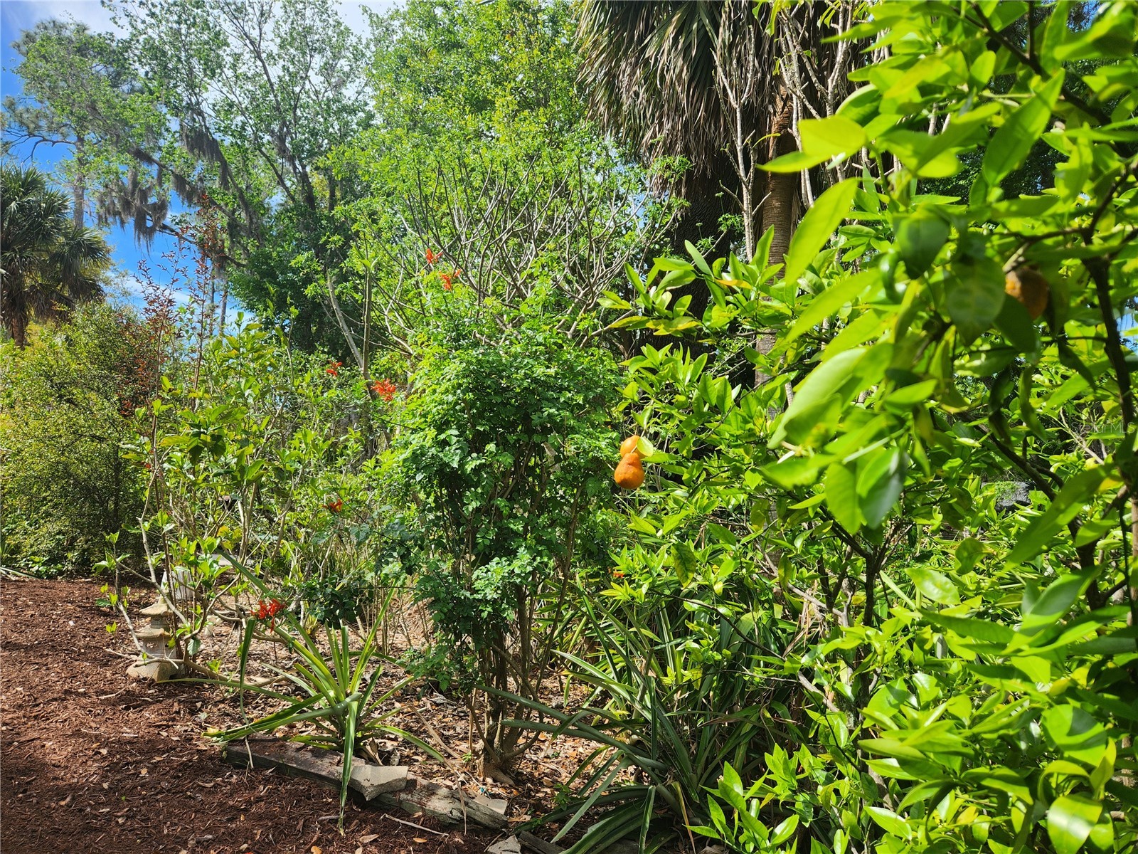 1035 Sirus Trail Sarasota FL 34232 A4680284 image42