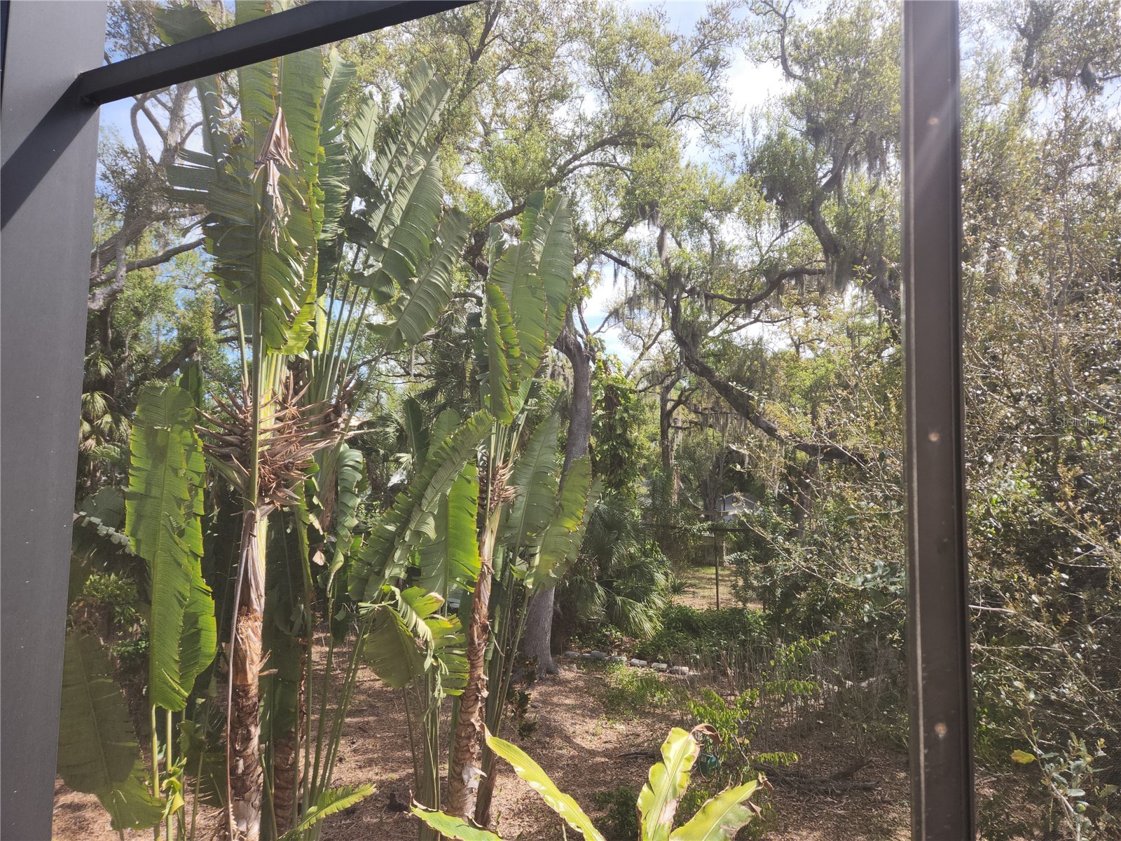 1035 Sirus Trail Sarasota FL 34232 A4680284 image43